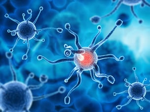is-asl-autoimmune