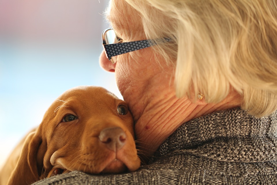 benefits of pet therapy for seniors